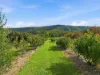 190D McClellands Road, Bucca NSW 2450-Image