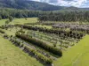190D McClellands Road, Bucca NSW 2450-Image