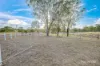 209 Mcintyres Road, Damascus QLD 4671-Image