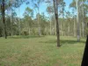 209 Mcintyres Road, Damascus QLD 4671-Image