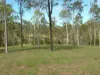 209 Mcintyres Road, Damascus QLD 4671-Image