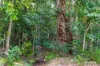 2470, Byfield QLD 4703-Image