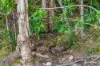 2470, Byfield QLD 4703-Image