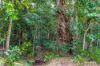 2470, Byfield QLD 4703-Image