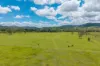 252, Braemore QLD 4313-Image