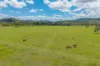 252, Braemore QLD 4313-Image