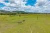 252, Braemore QLD 4313-Image