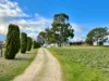 2773 Naracoorte Road, Bordertown SA 5268-Image