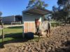 2773 Naracoorte Road, Bordertown SA 5268-Image