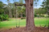 28 Frost Road, Cooranbong NSW 2265-Image