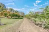 285 Delan Road, Bullyard QLD 4671-Image