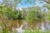 285 Delan Road, Bullyard QLD 4671-Image