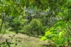 300 Sunrise Road, Doonan QLD 4562-Image