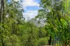 300 Sunrise Road, Doonan QLD 4562-Image