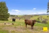 3837 Kings Highway, Bungendore NSW 2621-Image