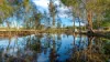 386 Lansdowne Road, Cundletown NSW 2430-Image