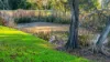 386 Lansdowne Road, Cundletown NSW 2430-Image