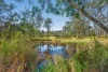 47 Grandview Close, Clarence Town NSW 2321-Image