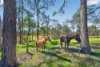 47 Grandview Close, Clarence Town NSW 2321-Image