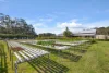 476C Marsh Road, Bobs Farm NSW 2316-Image