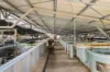 476C Marsh Road, Bobs Farm NSW 2316-Image