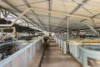 476C Marsh Road, Bobs Farm NSW 2316-Image