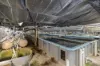 476C Marsh Road, Bobs Farm NSW 2316-Image