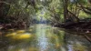 493 Bilwon Road, Biboohra QLD 4880-Image