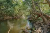 493 Bilwon Road, Biboohra QLD 4880-Image
