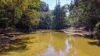 493 Bilwon Road, Biboohra QLD 4880-Image