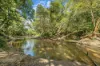 493 Bilwon Road, Biboohra QLD 4880-Image