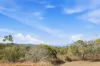 493 Bilwon Road, Biboohra QLD 4880-Image