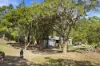 493 Bilwon Road, Biboohra QLD 4880-Image