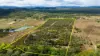 493 Bilwon Road, Biboohra QLD 4880-Image