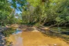 493 Bilwon Road, Biboohra QLD 4880-Image