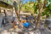 493 Bilwon Road, Biboohra QLD 4880-Image
