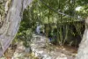 493 Bilwon Road, Biboohra QLD 4880-Image