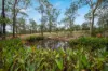 51 Grandview Close, Clarence Town NSW 2321-Image