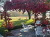 520 Donaldsons Road, Ancona VIC 3715-Image