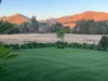 520 Donaldsons Road, Ancona VIC 3715-Image