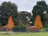 520 Donaldsons Road, Ancona VIC 3715-Image