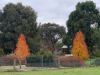 520 Donaldsons Road, Ancona VIC 3715-Image