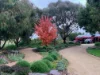 520 Donaldsons Road, Ancona VIC 3715-Image