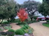 520 Donaldsons Road, Ancona VIC 3715-Image