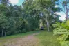 5236, Abergowrie QLD 4850-Image