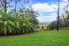 5236, Abergowrie QLD 4850-Image