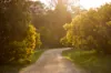 590 Old Tolmie Road, Barwite VIC 3722-Image