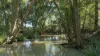 60 Coonoongibber Creek Road, Brooloo QLD 4570-Image