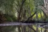 60 Coonoongibber Creek Road, Brooloo QLD 4570-Image