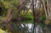 60 Coonoongibber Creek Road, Brooloo QLD 4570-Image